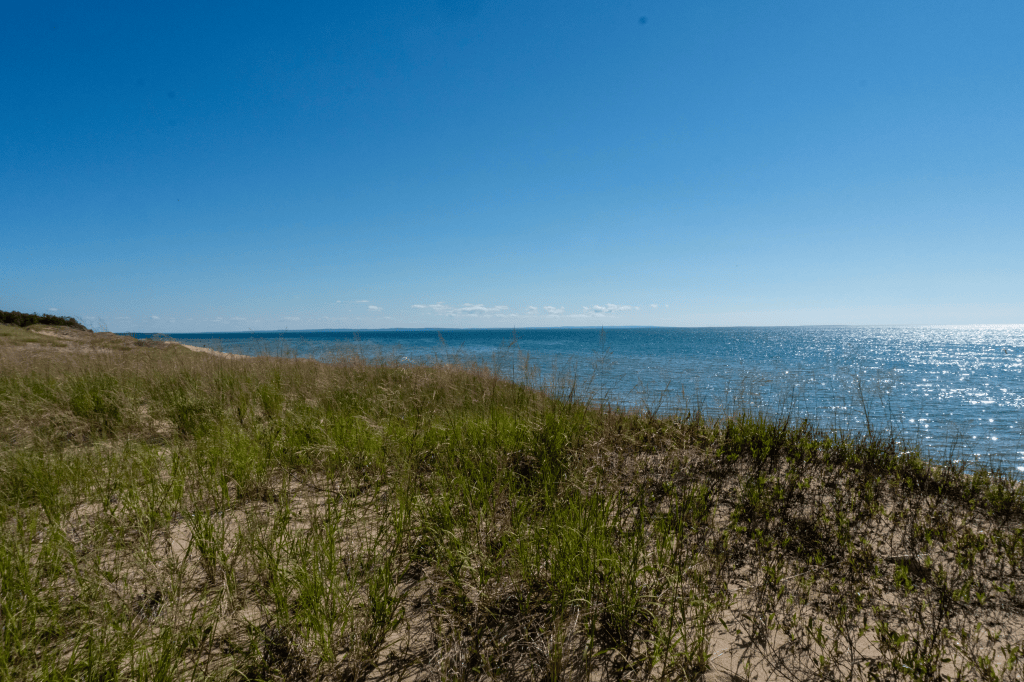 Wide shot of dune grass the dunes, and Lake Michigan