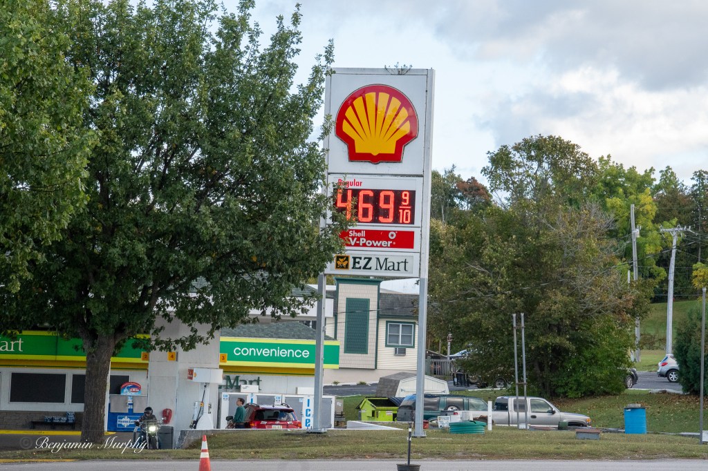 A photo of a gas station sign partially blocked by a tree, showing 4.69 a gallon for the price.